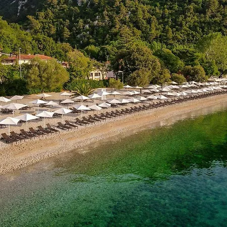 Campsite & Holiday Village de vacances 3*