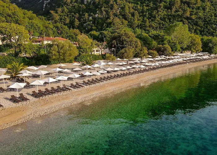 Campsite & Holiday 假日公园 3*