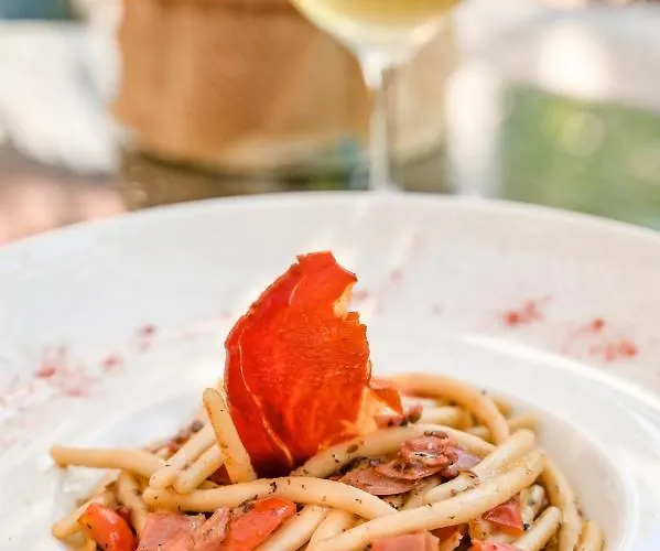 Campsite & Holiday 3* 密德维亚